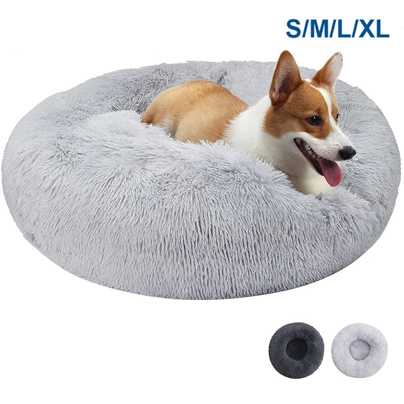 Sitzsack für Hunde