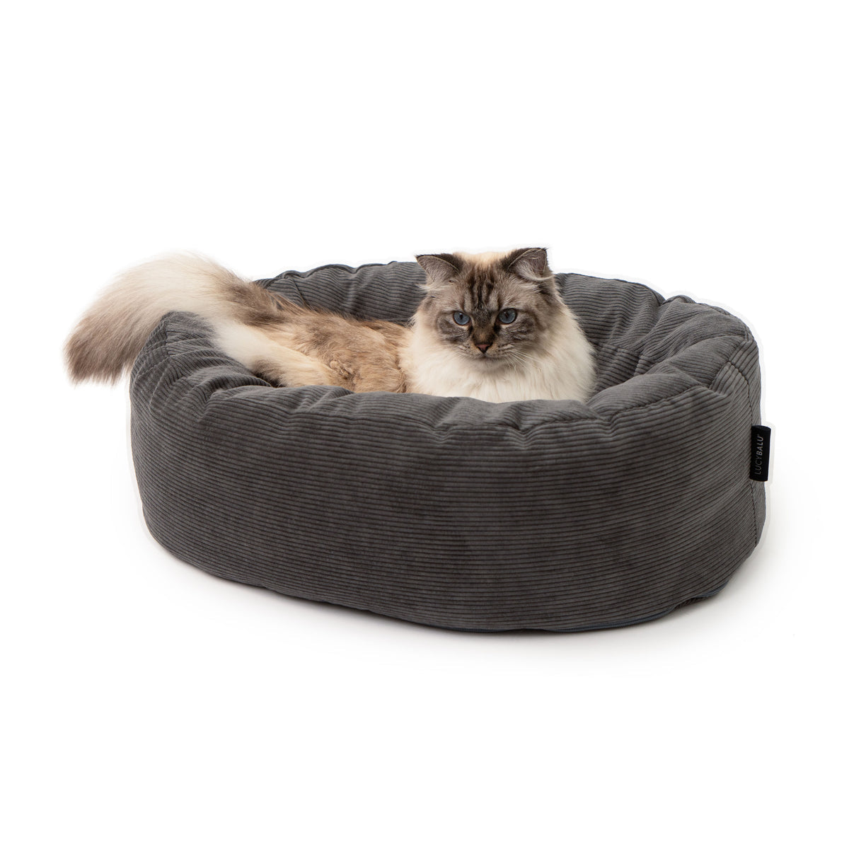 Plüsch-Katzenbett-Anthrazit