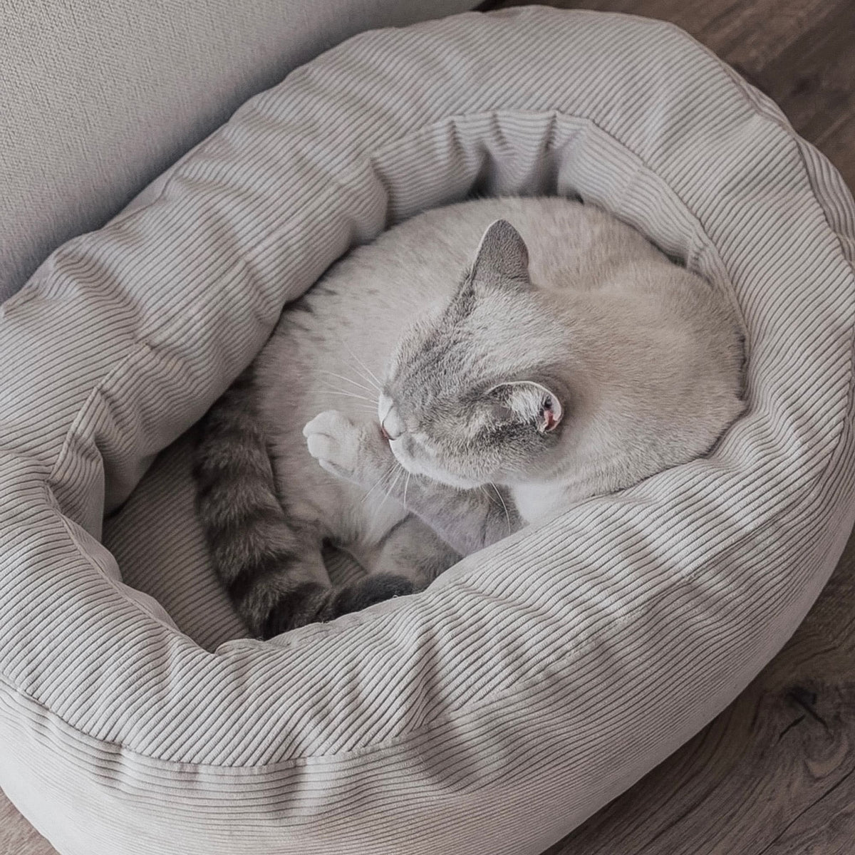 Plüsch-Katzenbett-Sand-2