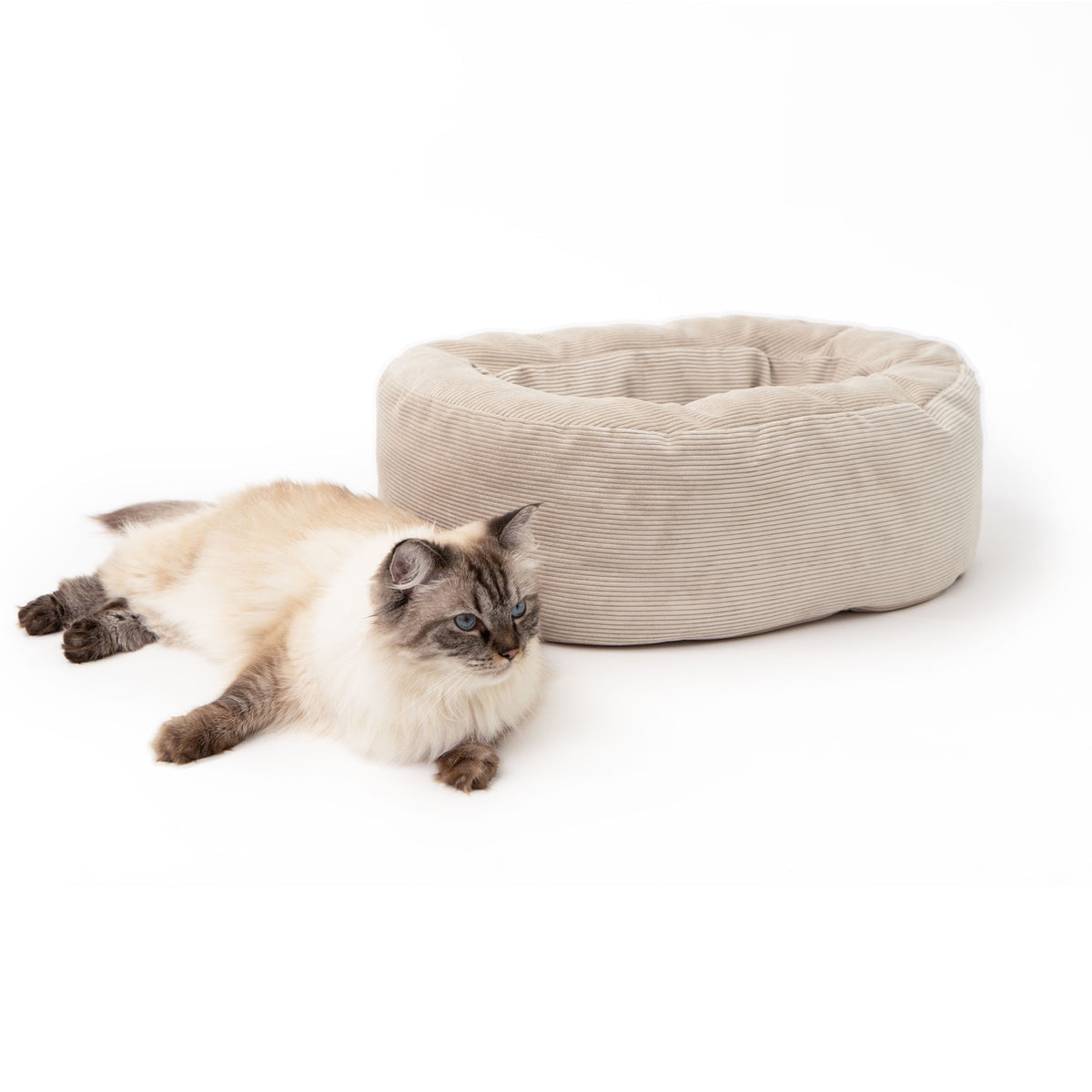 Plüsch-Katzenbett-Sand